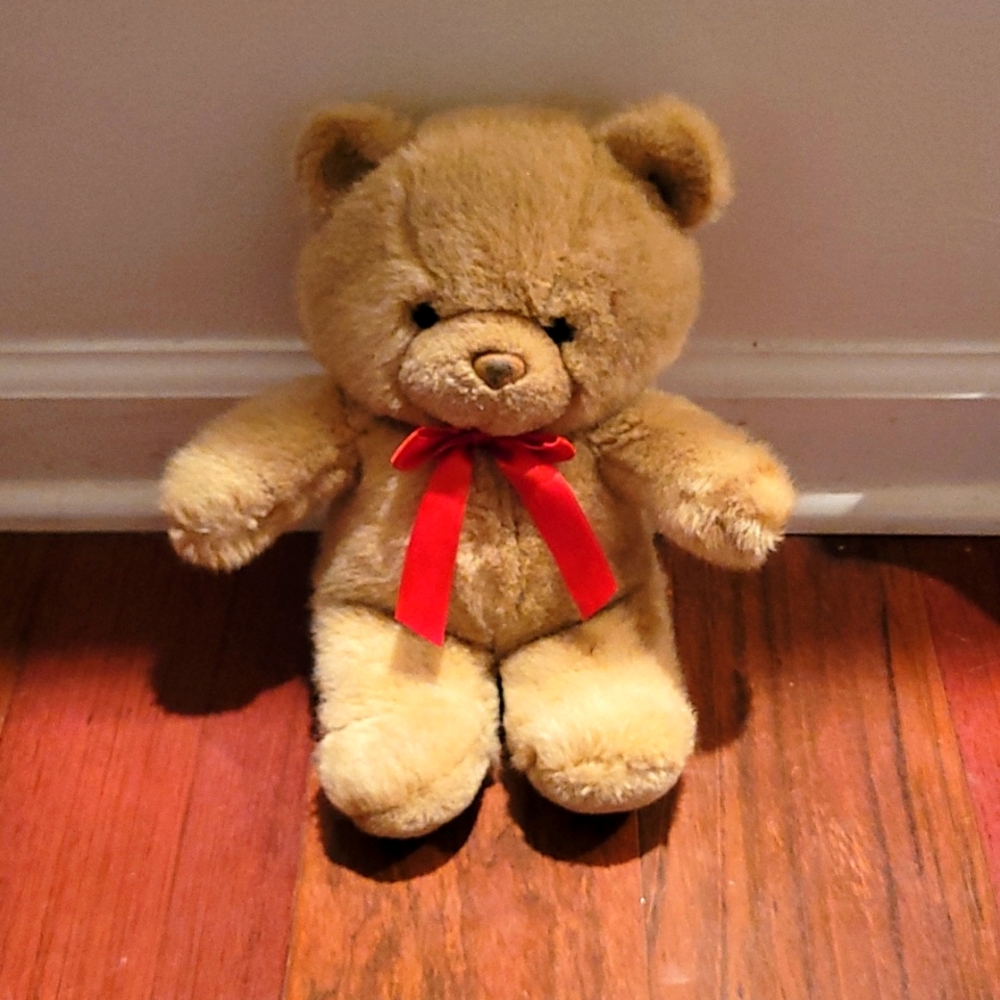 Teddy Bear 🧸